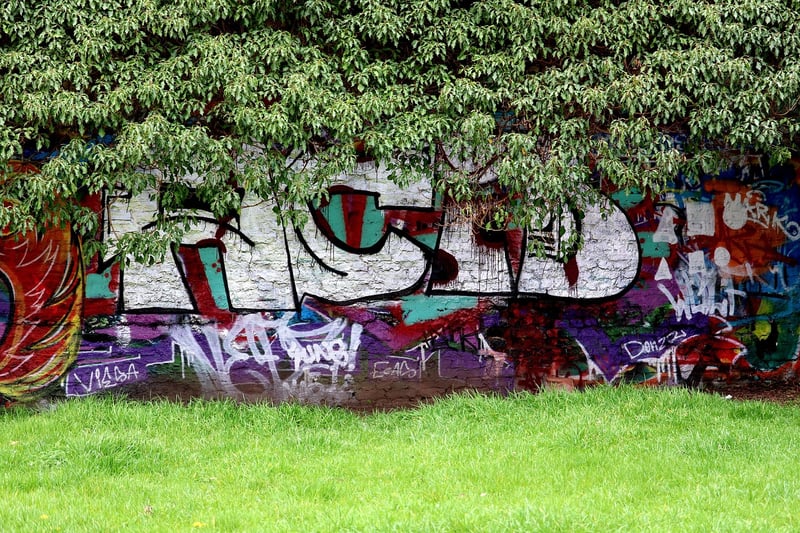 Forest Wall Art